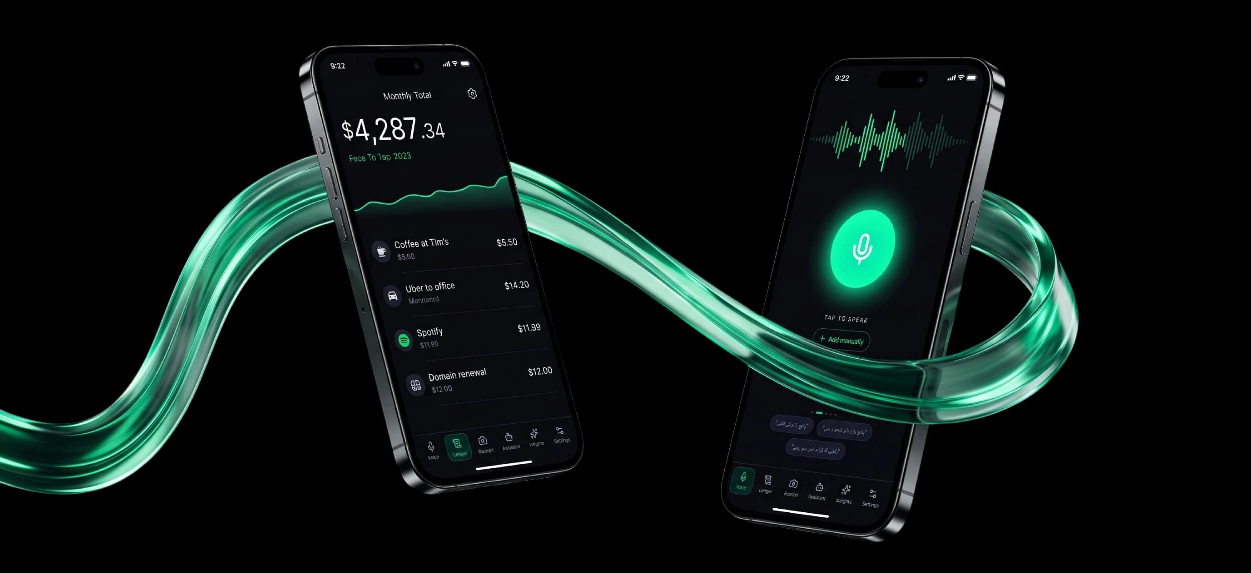 Tapsayve dashboard and voice-first expense entry on iPhone