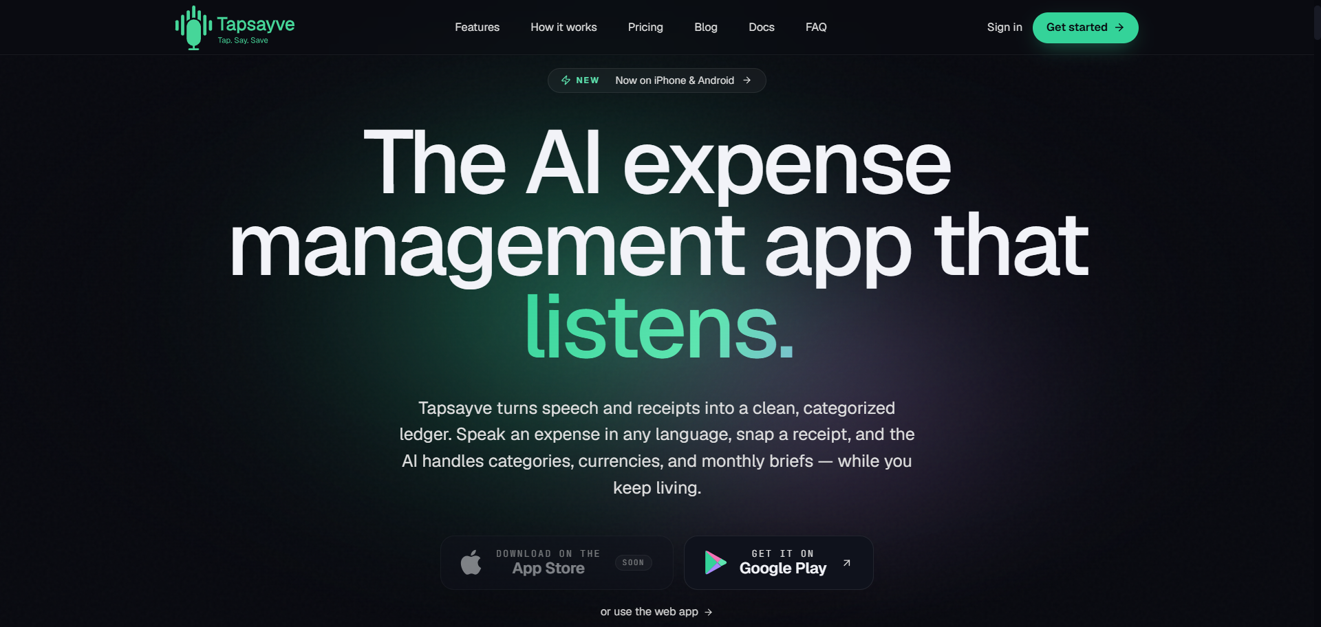 An overview of Tapsayve, voice and receipt expense tracking with a live dashboard.